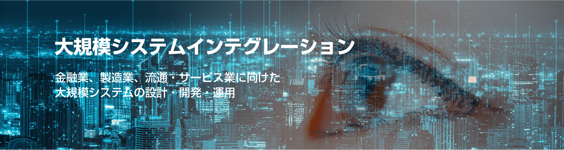 大規模システムインテグレーション　金融業、製造業、流通・サービス業に向けた大規模システムの設計・開発・運用