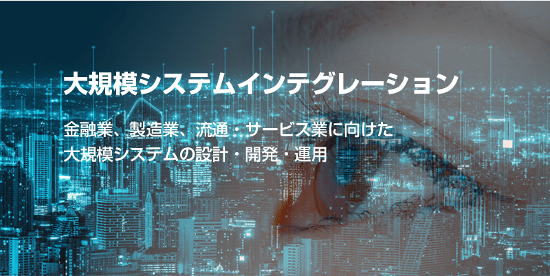 大規模システムインテグレーション　金融業、製造業、流通・サービス業に向けた大規模システムの設計・開発・運用